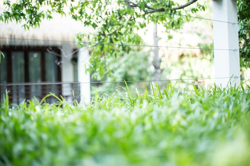 Rokkhak River Resort Siem Reap Eksteriør bilde